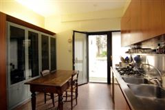 绿荫环绕的漂亮公寓 luxury homes