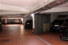 绿荫环绕的漂亮公寓 luxury real estate