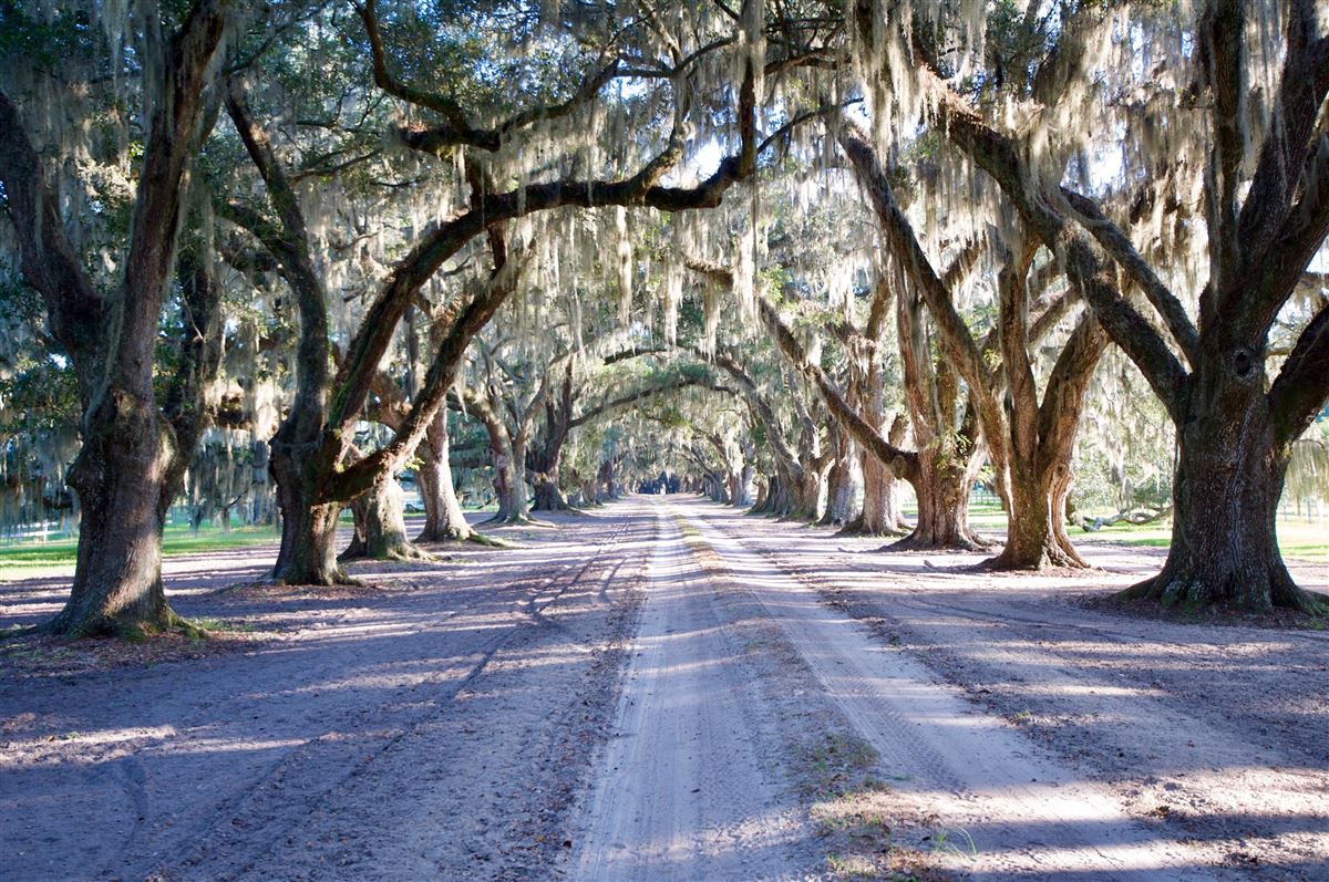 TOMOTLEY PLANTATION IN YEMASSEE South Carolina Luxury Homes