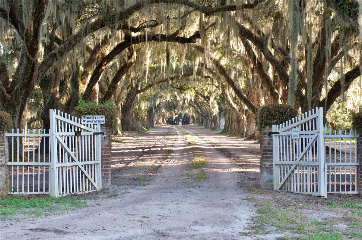 TOMOTLEY PLANTATION IN YEMASSEE South Carolina Luxury Homes