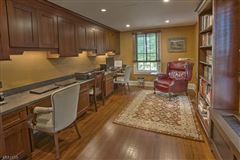 令人赞叹的马术  luxury homes