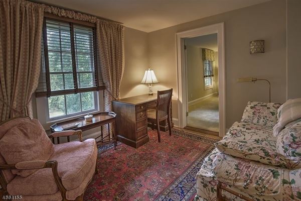 令人赞叹的马术  mansions