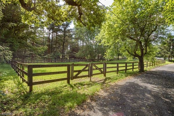 Luxury homes 令人赞叹的马术 