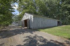 Luxury homes 令人赞叹的马术 