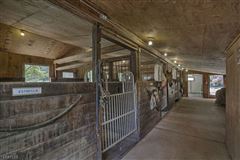 令人赞叹的马术  luxury homes