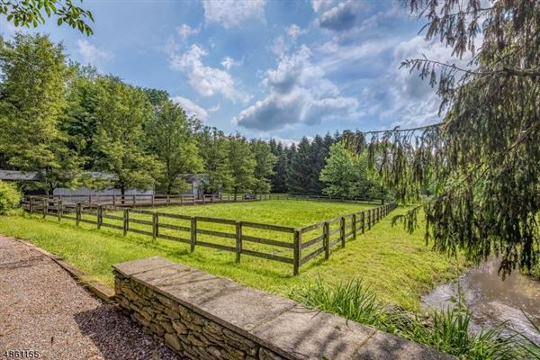 令人赞叹的马术  luxury properties