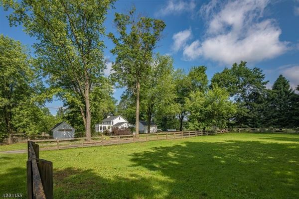 Mansions 令人赞叹的马术 