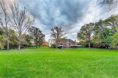 全部是用砖块租来的，占地四英亩 luxury properties