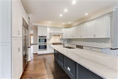 全部是用砖块租来的，占地四英亩 mansions