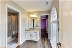 Mansions 全部是用砖块租来的，占地四英亩