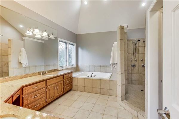 全部是用砖块租来的，占地四英亩 mansions