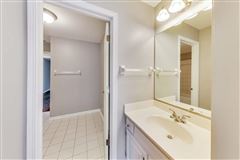 Mansions in 全部是用砖块租来的，占地四英亩