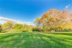 Mansions in 全部是用砖块租来的，占地四英亩