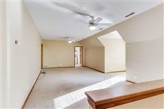 Luxury homes 全部是用砖块租来的，占地四英亩