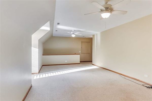 全部是用砖块租来的，占地四英亩 luxury properties