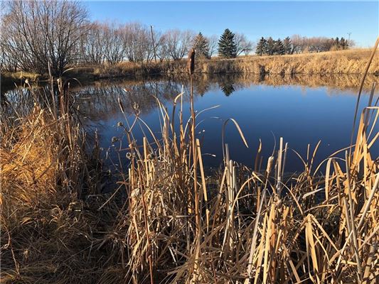 Luxury homes for sale