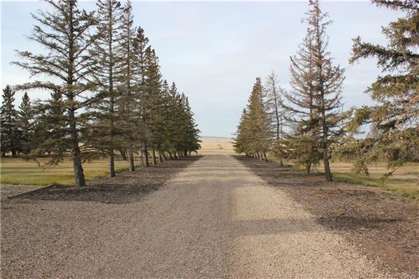 Luxury real estate 在某个地方的美丽家