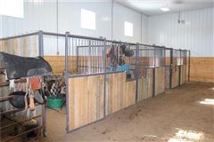 在这里打造你的马术梦 luxury real estate