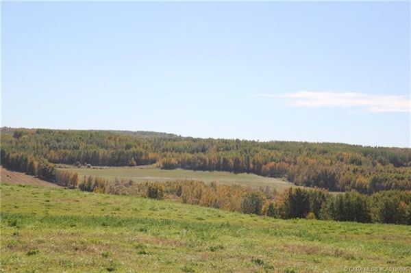 Luxury properties 在这里打造你的马术梦