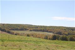 在这里打造你的马术梦 luxury properties