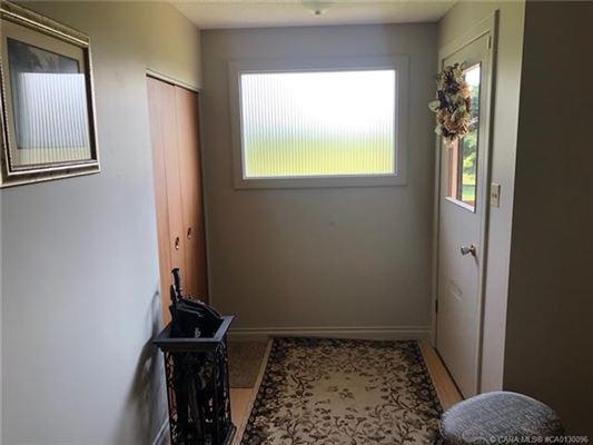 Mansions 在这里打造你的马术梦