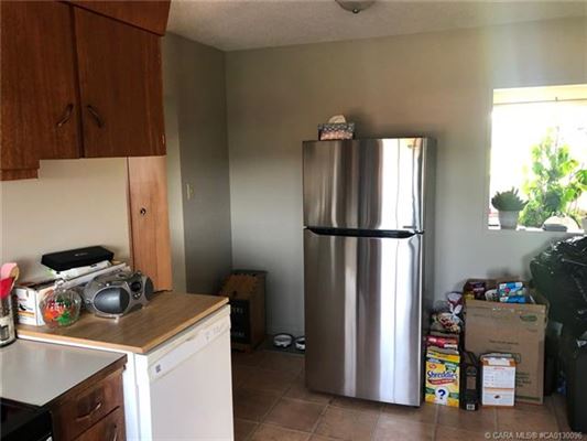 Mansions in 在这里打造你的马术梦