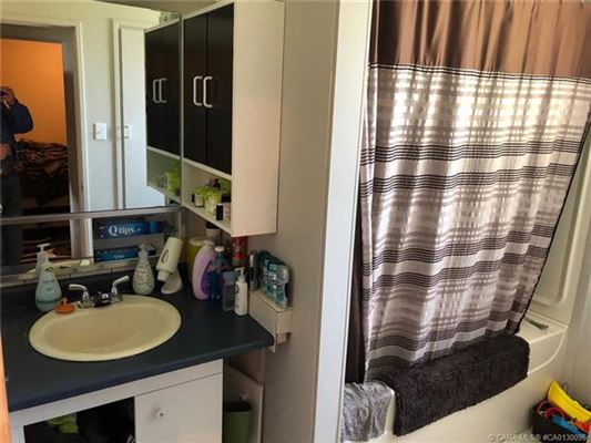 Luxury homes 在这里打造你的马术梦