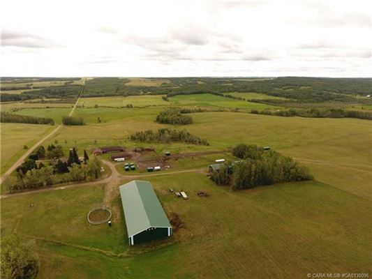 Luxury properties 在这里打造你的马术梦