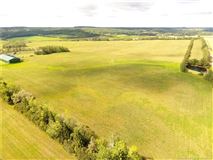 Mansions 在这里打造你的马术梦