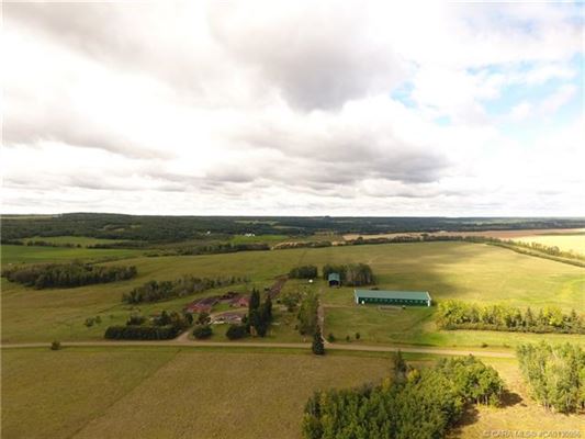 Mansions 在这里打造你的马术梦