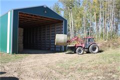 Mansions in 在这里打造你的马术梦