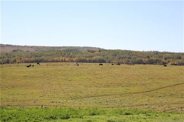 Mansions in 在这里打造你的马术梦
