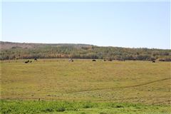 Luxury homes for sale