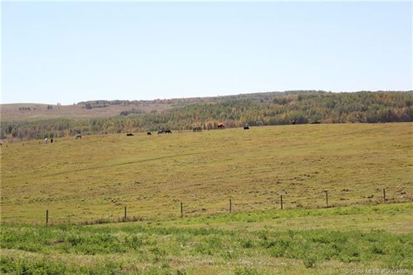 Luxury homes for sale