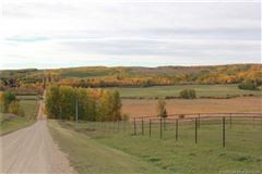 Luxury homes 在这里打造你的马术梦