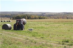 在这里打造你的马术梦 luxury homes