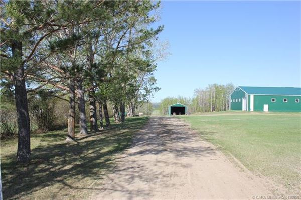 在这里打造你的马术梦 luxury homes