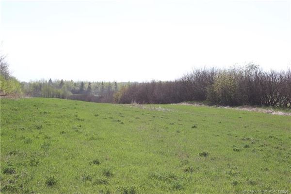 Luxury real estate 在这里打造你的马术梦