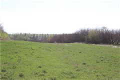 在这里打造你的马术梦 luxury real estate