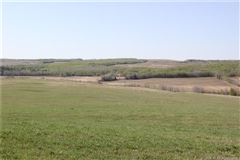 Luxury properties 在这里打造你的马术梦