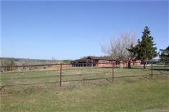 在这里打造你的马术梦 luxury properties