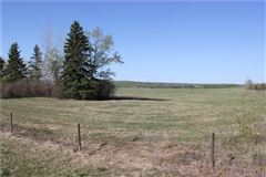 Mansions 在这里打造你的马术梦