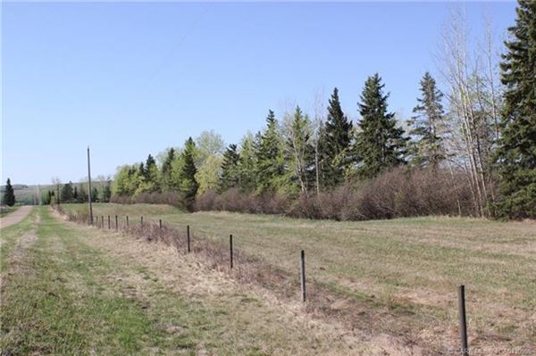 Mansions 在这里打造你的马术梦