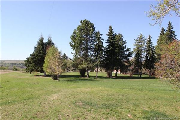 Luxury homes in 在这里打造你的马术梦