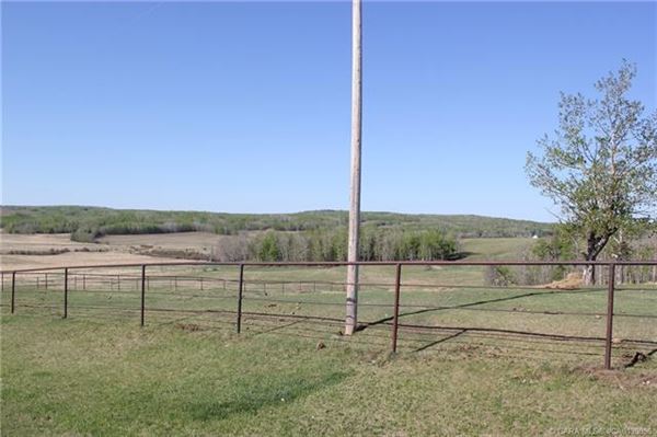 Mansions in 在这里打造你的马术梦