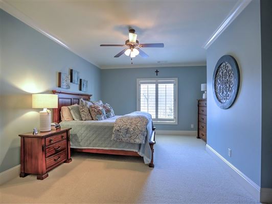 Luxury properties 宏伟的五英亩封闭式庄园