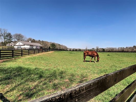 宏伟的五英亩封闭式庄园 mansions