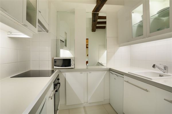 Luxury homes 精美的出租公寓