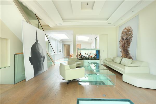 无污染的复式公寓 luxury homes