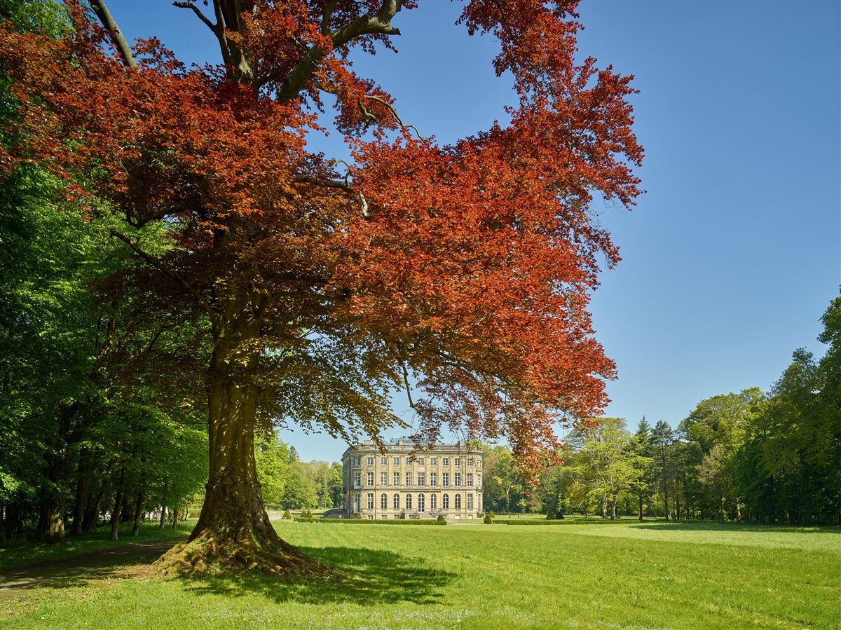 MAJESTIC CHATEAU IN VALENCIENNES France Luxury Homes Mansions For